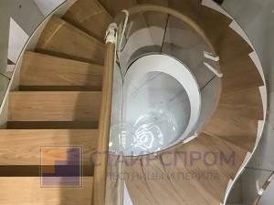 Винтовая деревянная лестница с ограждением из моллированного стекла